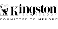 Kingston Partner